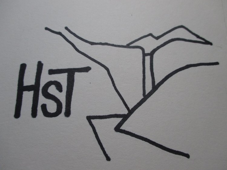 hst logo.jpg